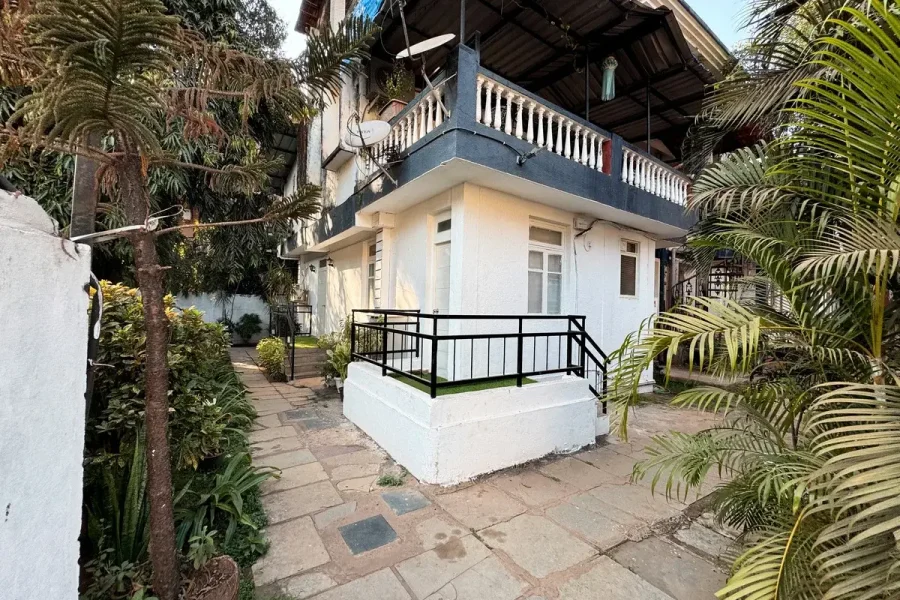 Acasonest -J1 (STUDIO)