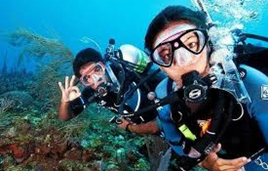 Scuba Diving