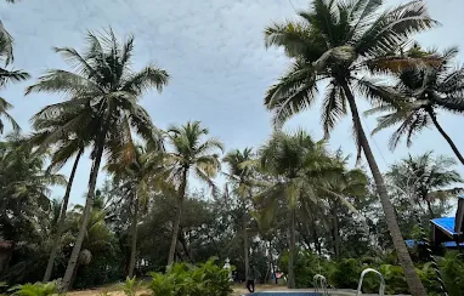 The Flora Residency_Calangute